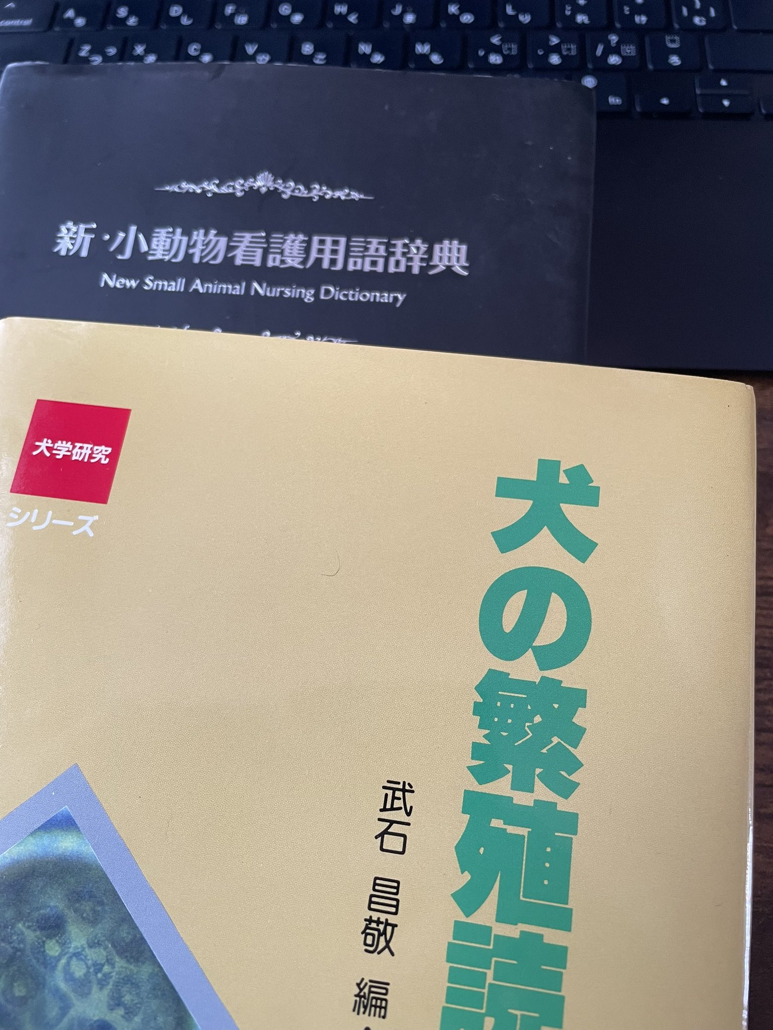 新・小動物看護用語辞典 新・小動物看護用語辞典 - メルカリ