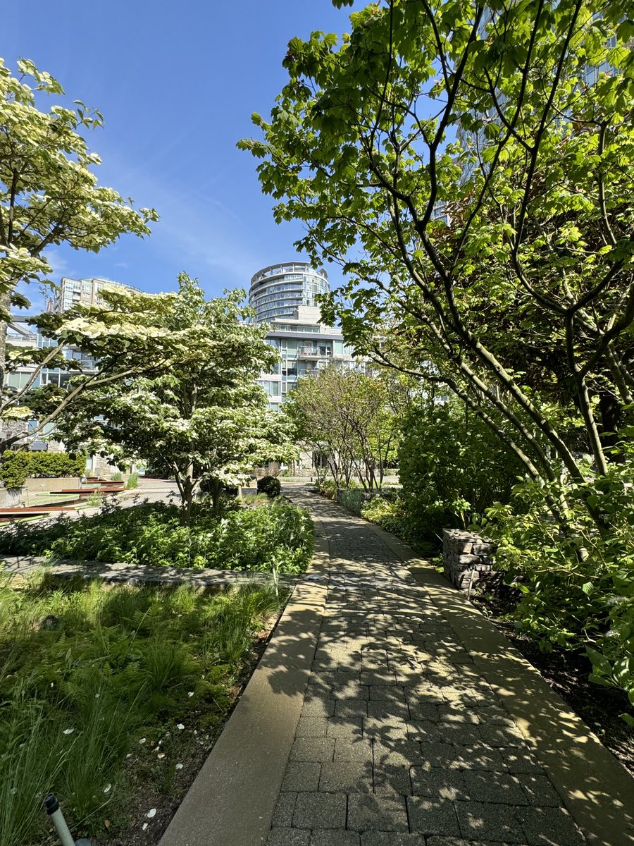 BrentToderian's tweet image. These are all dense urban places in Vancouver. Just in case you needed another reminder that we CAN (and SHOULD) integrate green and nature into dense urban places. Don’t ever let anyone tell you different. It’s a critical piece of the puzzle for #DensityDoneWell.