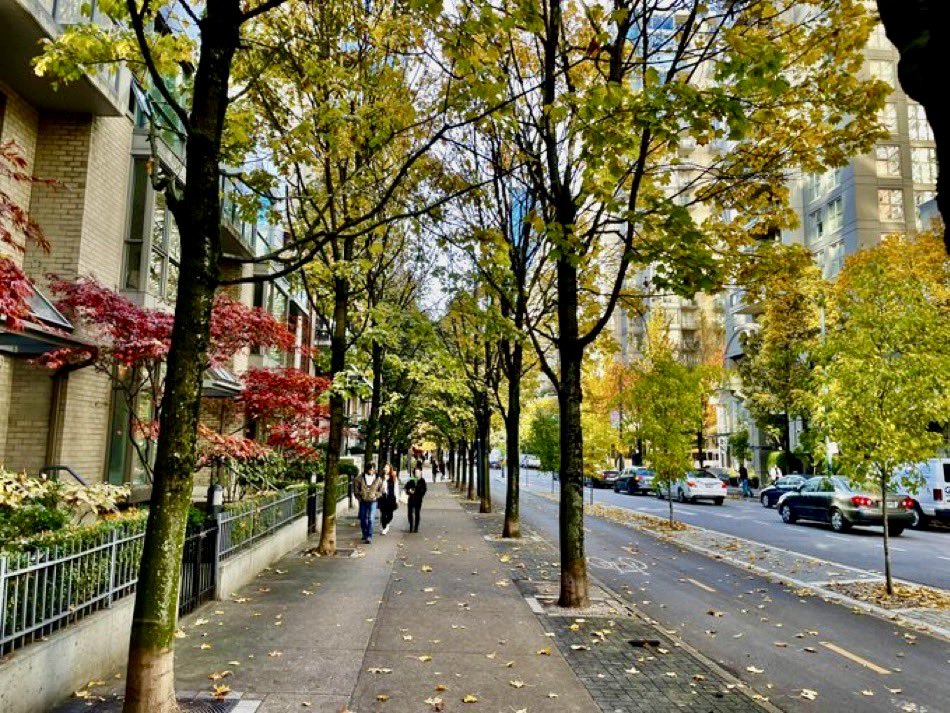 BrentToderian's tweet image. These are all dense urban places in Vancouver. Just in case you needed another reminder that we CAN (and SHOULD) integrate green and nature into dense urban places. Don’t ever let anyone tell you different. It’s a critical piece of the puzzle for #DensityDoneWell.