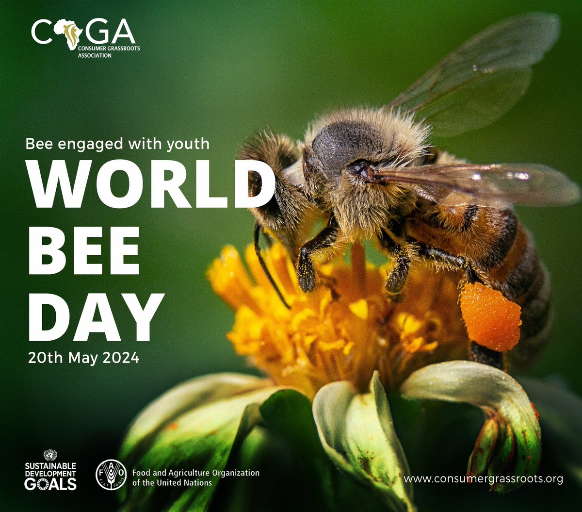 #Pollinators are essential for #foodsecurity and #biodiversity! 🌼🐝 To highlight their importance, the threats they face, and their role in #sustainable development, we significantly echo the #WorldBeeDay themed 'Bee engaged with Youth' Let's protect our #bees and support a