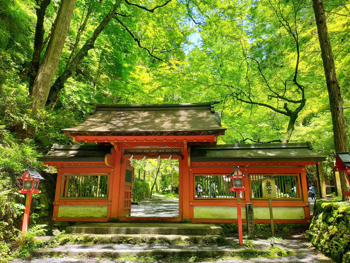 ソナタ14 tweet media