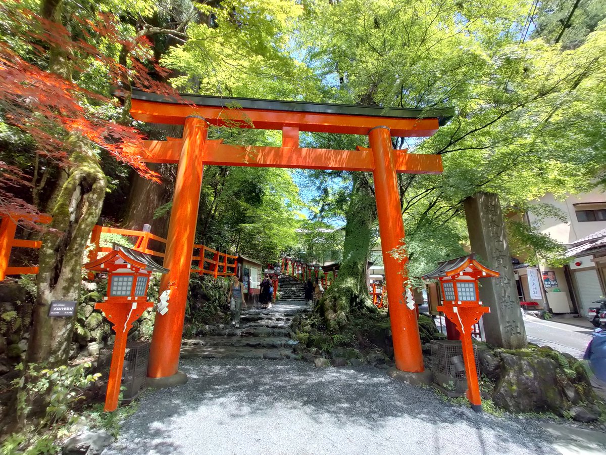 ソナタ14 tweet media