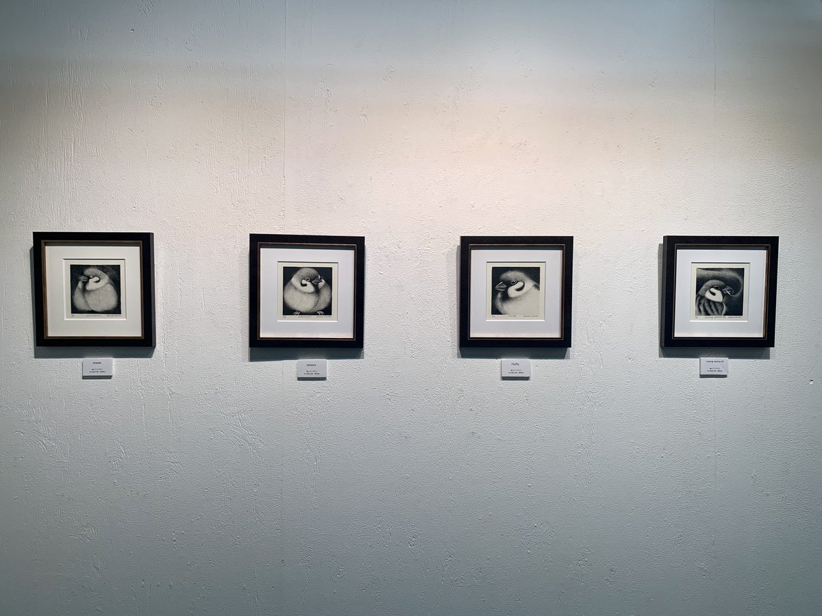 Kawai Shoko Solo Exhibition やわらかな羽毛

私は仕事で在廊できませんが、本日もよろしくお願いいたします🐤

#フリュウギャラリー