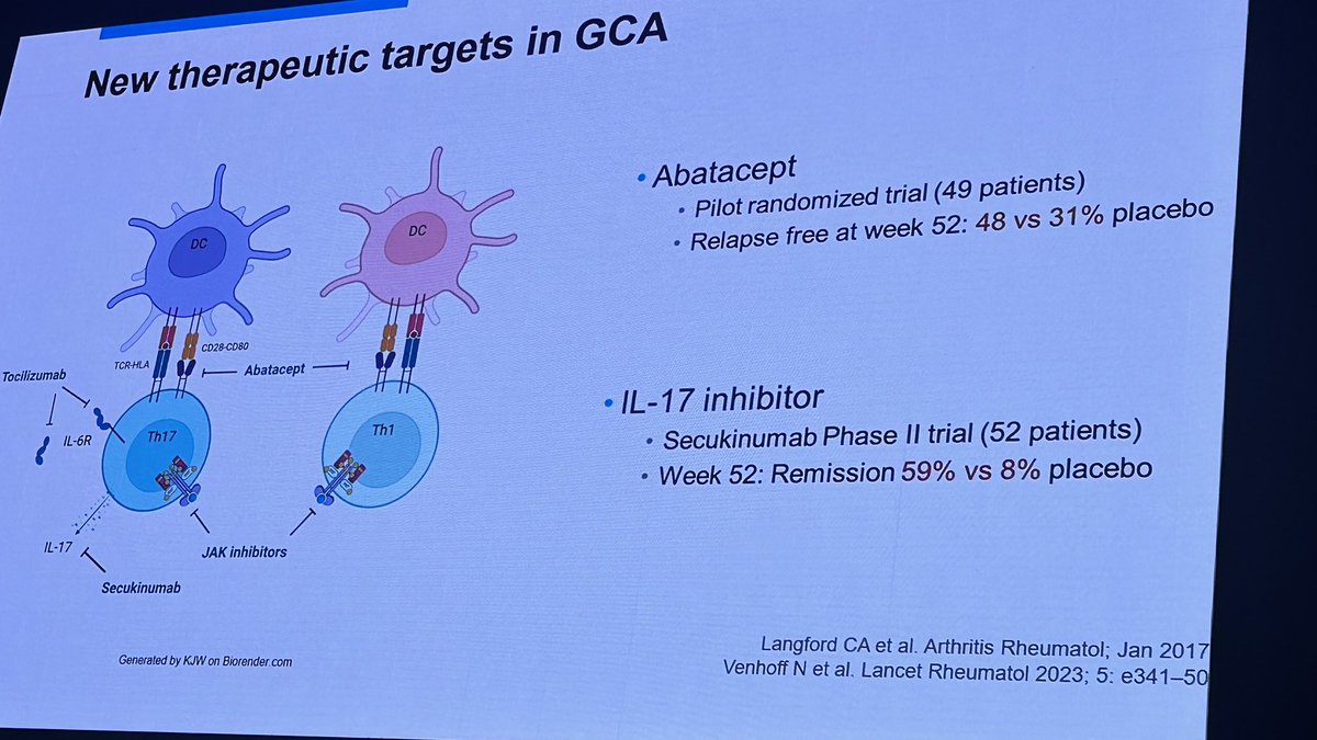 Bibimbap14's tweet image. Ken Warrington presents on GCA
⁃emerging treatments considering IL-6, IL-17, JAK-STAT targeted treatment
⁃Future treatment options…

#ARANZRA24 @MdWarrington @AusRheum