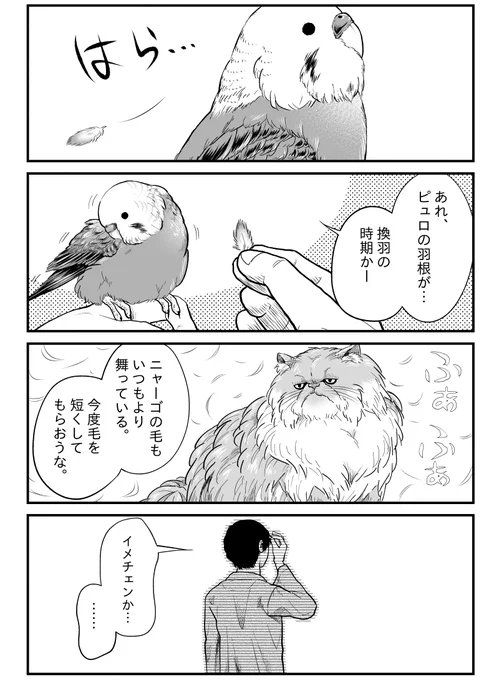 今月発売のビッグコミック6月増刊号に『ニャーゴとピュロロロ』が2話掲載されております。  ニャゴピュロのご主人が、イメチェンします!😎