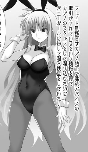 バニーフェイトさん。
カジノ地下で違法取引があったそうです。 