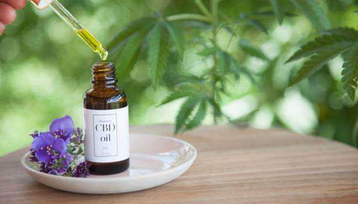 How to Choose the Right CBD Oil Skincare Products for Your Skin Type
#CBDoilSkincare #SkinCare #NaturalSkinCare #BeautyProducts #HealthySkin #DrySkin #OilySkin #CombinationSkin #SensitiveSkin #CBDTopicals #ThirdPartyTested #Moisturizer @Redfood_24 
tycoonstory.com/how-to-choose-…