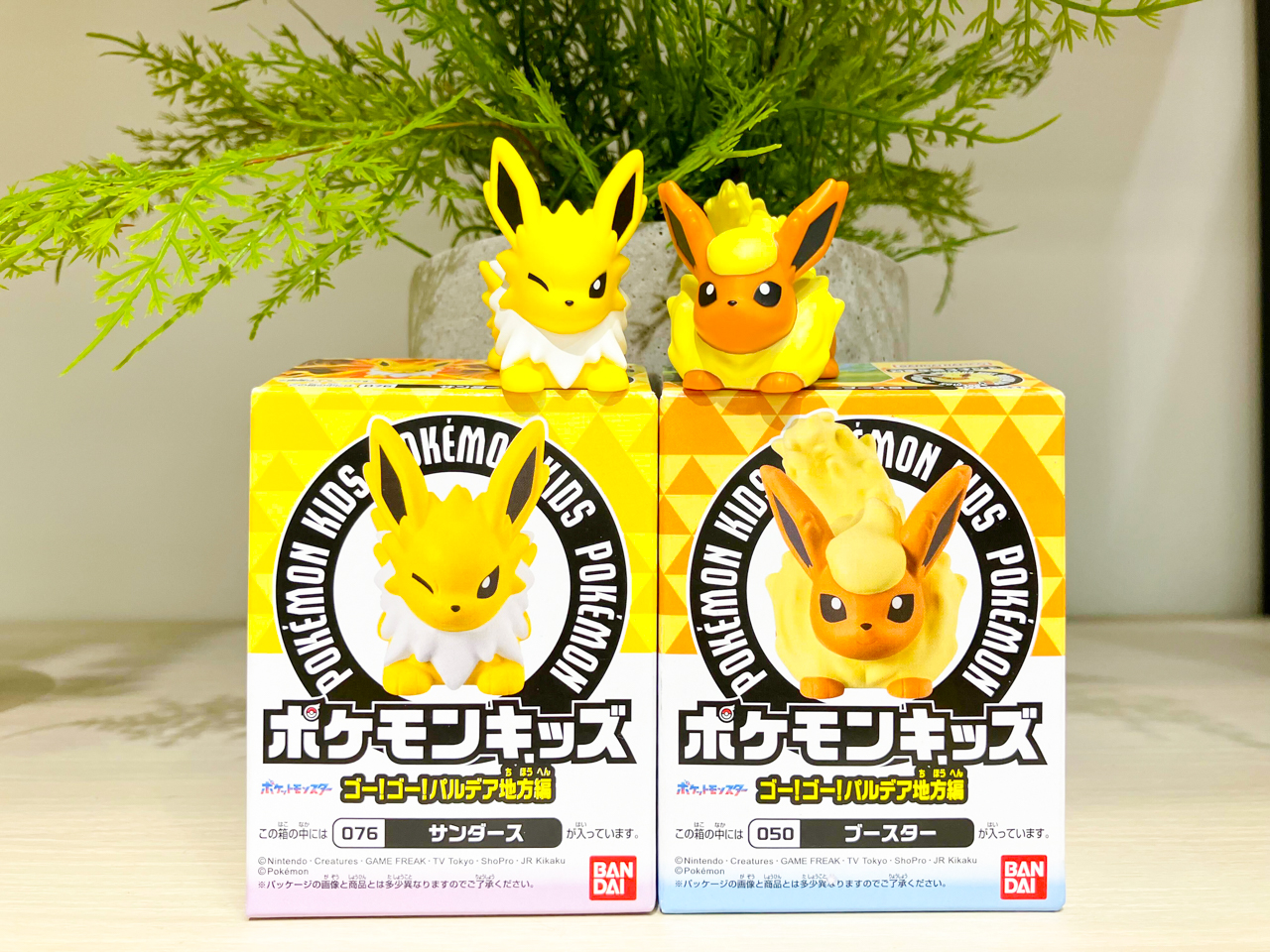 まとめ売り　イーブイ　サンダース　トドロクツキ　　テラフェス テラスタルフェスEX イーブイ サンダース トドロクツキ まとめ