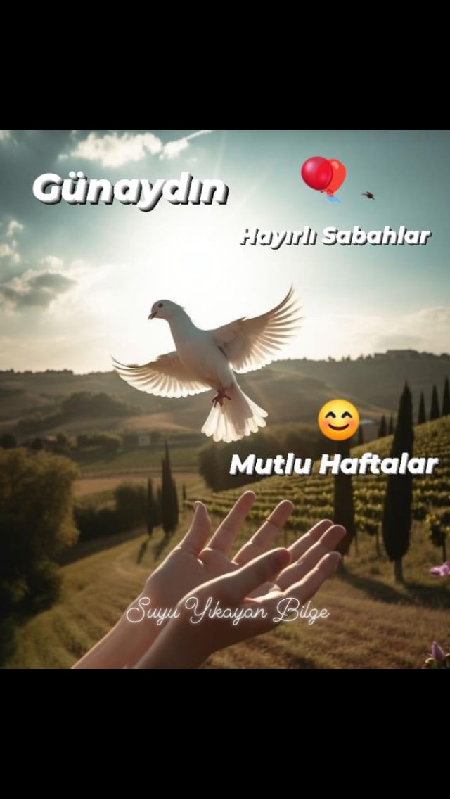 @ruhenbahar Yüreği gönlü güzel Can değerli Arkadaşım yeni hafta güzellikler getirsin değerli Allen ve sevdiklerinle birlikte hayırlı haberler aldığınız sağlığınızın yerinde olduğu huzurlu mutluluk ve sevgi dolu güzellikler içinde keyifli güzel bir hafta geçirmeniz dileklerimle Günaydın