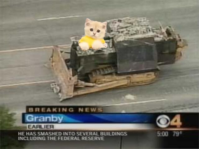 CatWifTank's tweet photo. UPDATE: $HANK IS STILL IN THE MF TANK!

meow. meow. MEOW!!! https://t.co/yrF2VvnT4z