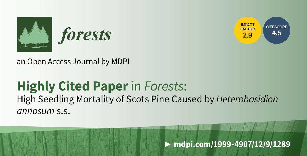 🌲 #Forests 🆕 Feature Paper Article Series 💕 'High Seedling Mortality of Scots Pine Caused by Heterobasidion annosum s.s.', written by Tuula Piri et al. More details 🔗 mdpi.com/1999-4907/12/9… 💝 #Heterobasidion #root #rot #genet #fruitingbody #Pinussylvestris #seedling