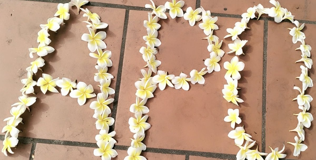 When pushing # for po. I went to the temple near my house and saw a lot of frangipani flowers falling under the tree. I arranged a heart to give to Apo. In Buddhism, frangipani flowers when combined with Buddhists will symbolize immortality, peace and happiness.
#aponattawin
💛💛