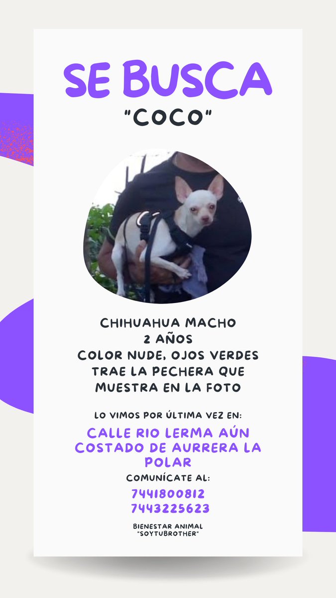 Te estamos buscando #coco
📢 Ayúdenos a compartir.