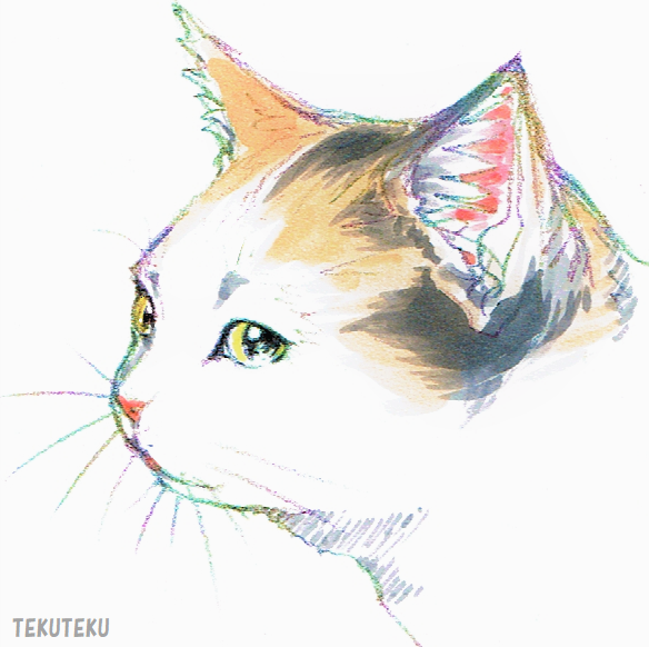 「猫 白背景」のTwitter画像/イラスト(新着)