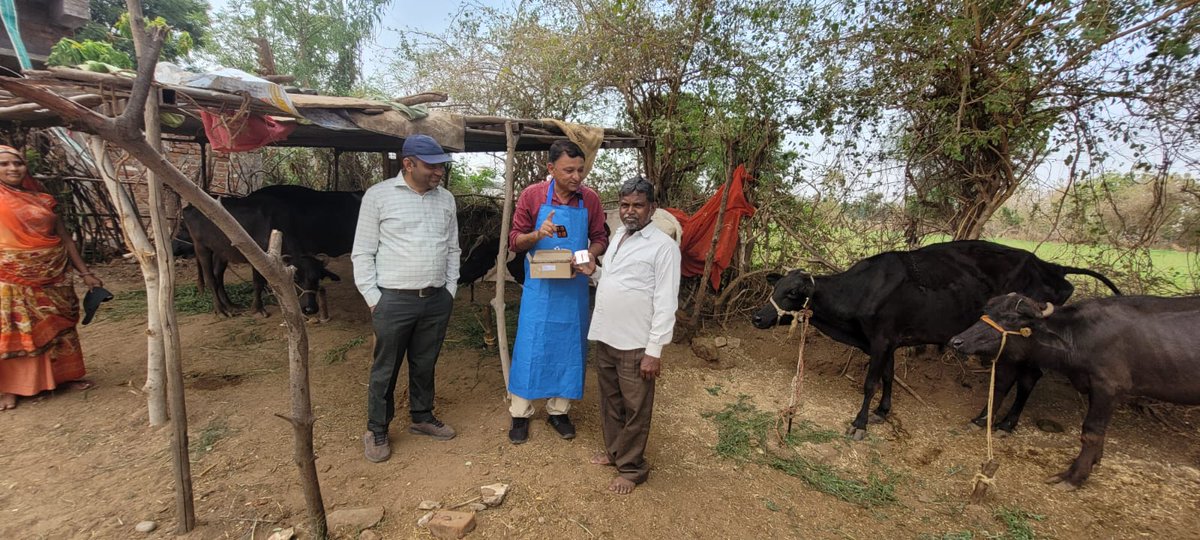 DEWORMING CAMPAINGN IN MODASA TALUKA VILLAGES BY VETERINARY DISPENSARY MODASA