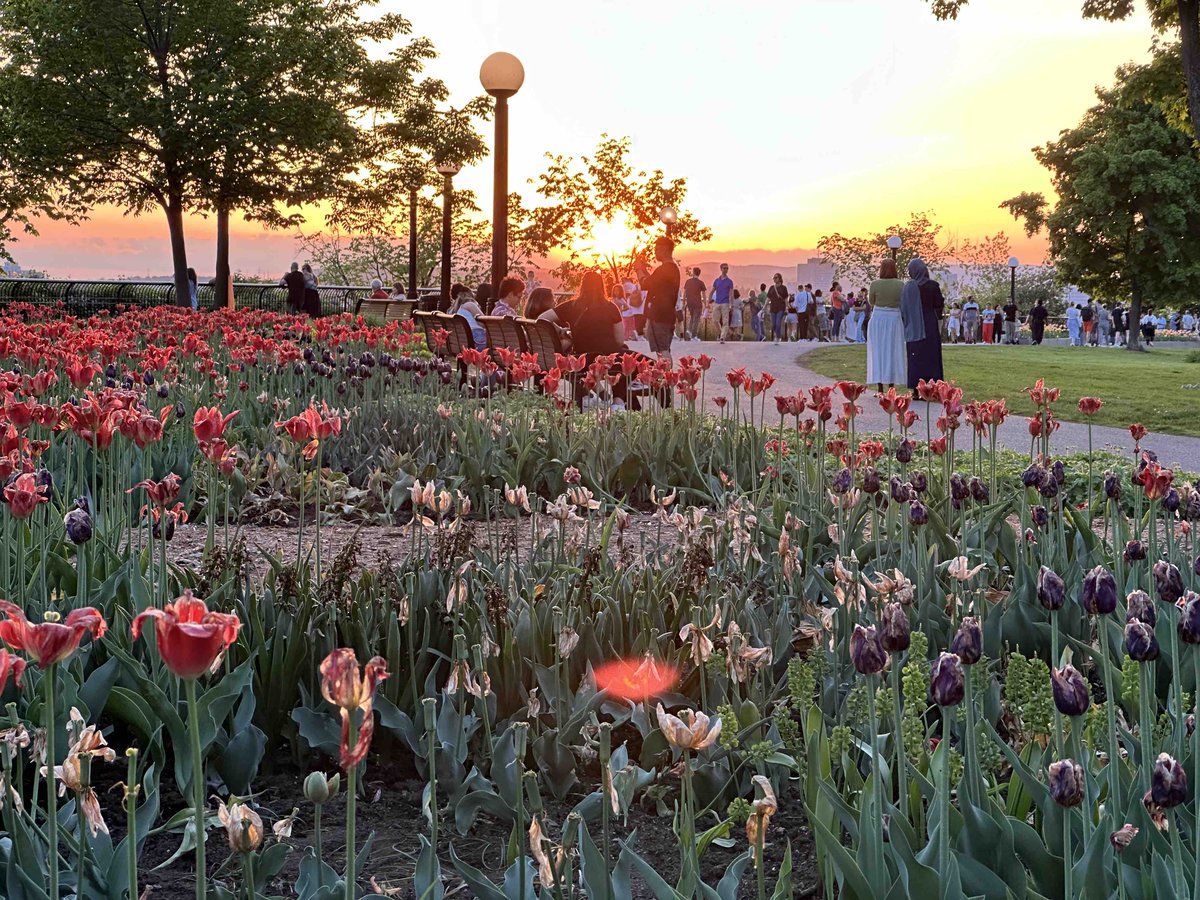 Day 1- Grade 8 Voyage Quebec- After a full day of flying, it felt good to stretch our legs and visit some iconic sites!