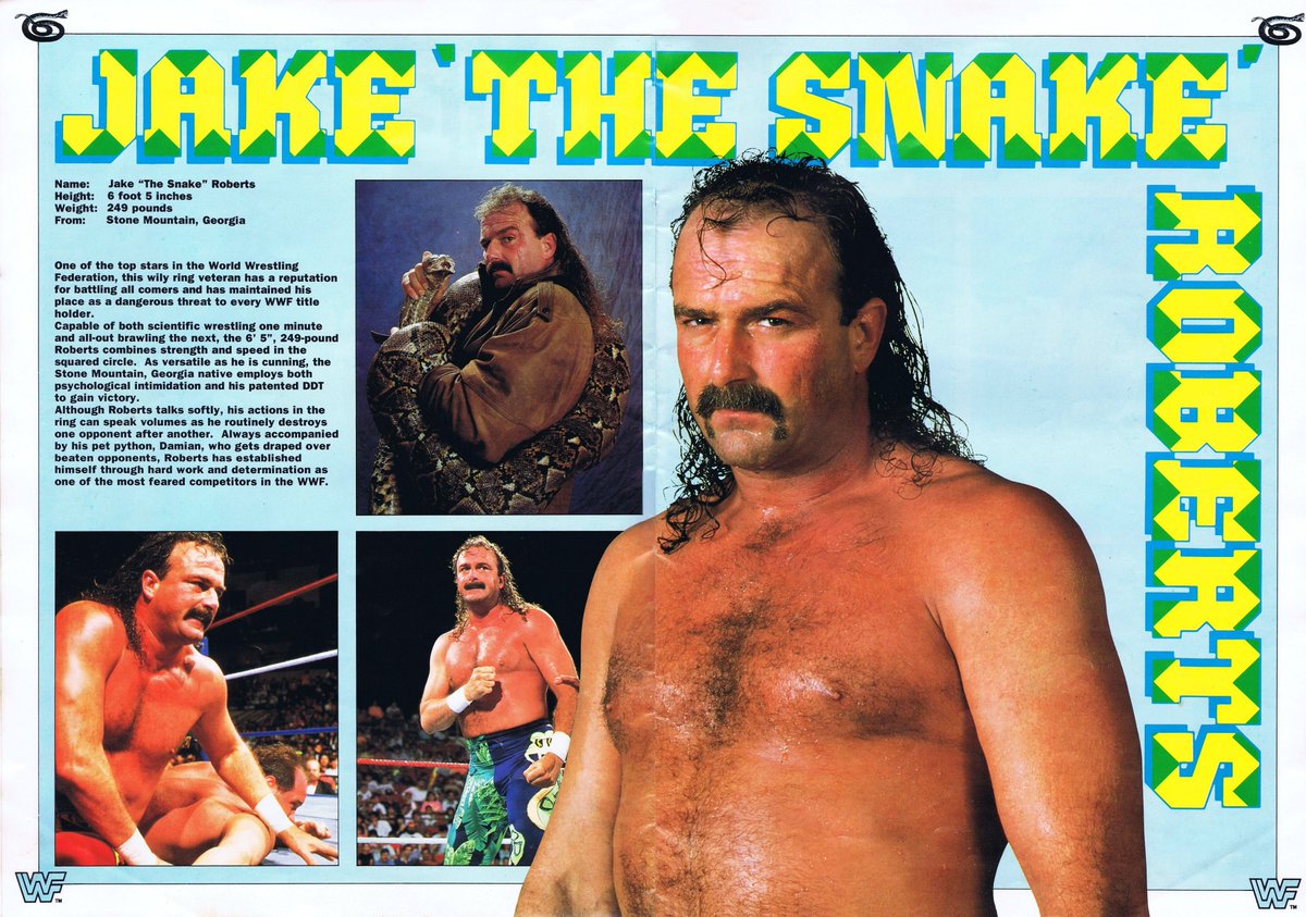 Profile of Jake 'The Snake' Roberts from the 1991 WWF European Rampage Tour Programme. 🐍 #WWF #WWE #Wrestling #JakeRoberts