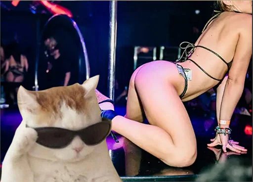 CataracksSol's tweet photo. @Pauly0x shut up f@g go get you some racks https://t.co/4CKZbJ29yO
