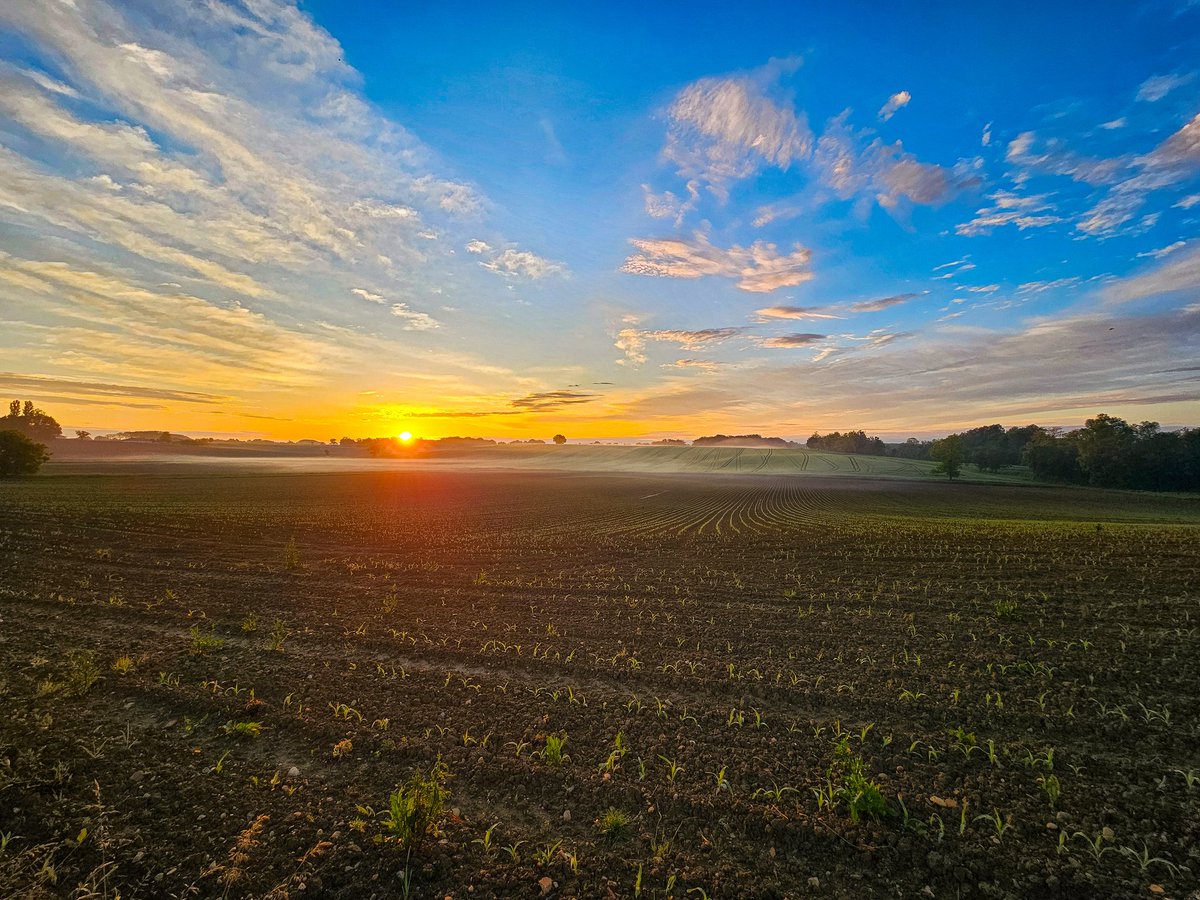bon lundi de pentecôte, surtout à ceux qui bosse 😁💪
#maïs #agriculteurs #agriculture #campagne #photo