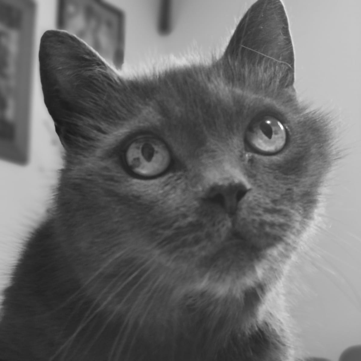 MariaCharan's tweet image. Viele wissen was sie tun, und  machen es trotzdem!