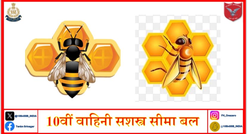 🐝🌼 **Happy World Bee Day!** 🌼🐝 These tiny pollinators are playing a crucial role in our ecosystem, ensuring the growth of flowers and fruits . Let's protect and cherish our bee friends! 🌸🍯 #SaveTheBees #WorldBeeDay 🌎🐝 @SSB_INDIA @SSBSHQSRINAGAR @Rohitashwa14