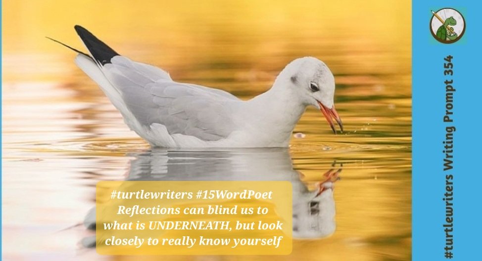 #turtlewriters #15WordPoet  Reflections can blind us to what is UNDERNEATH, but look closely to really know yourself