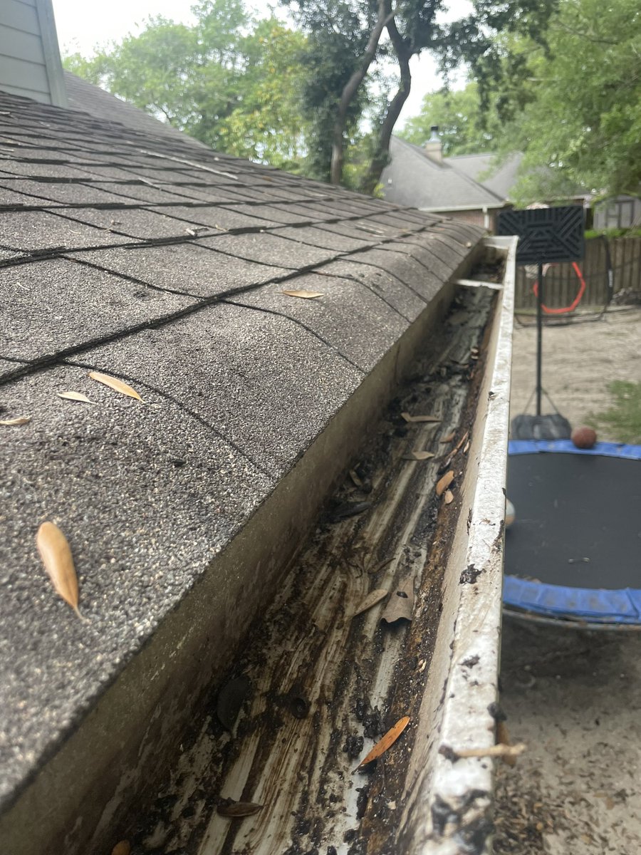 For Mother’s Day, I got on the ladder and cleaned the gutters. Here is proof. Yes - Melissa knows how lucky she is. But you can still tell her. This is a gift that will keep on giving.