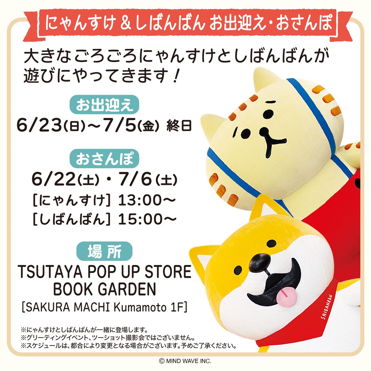 今日6/22(土)13時〜 お散歩に行くよ〜🐾🐾🐾 #サクラマチクマモト BOOK