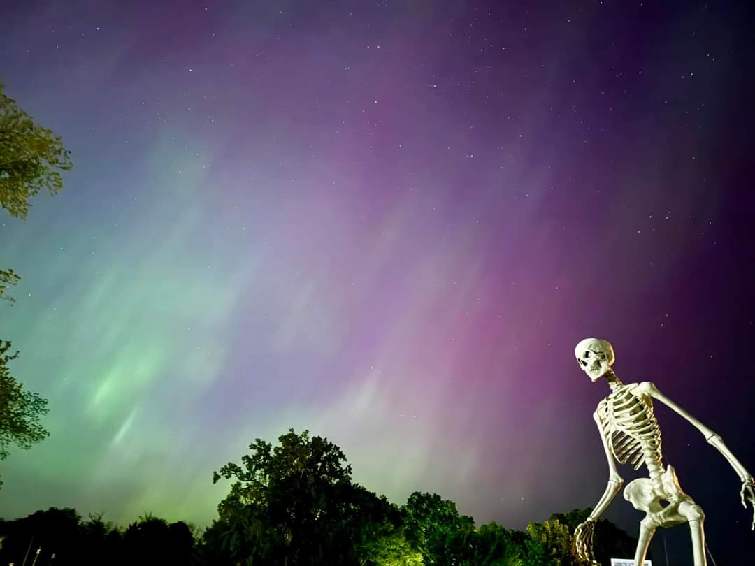 I'm sorry but none of your aurora pictures hold a candle to the one my friend took in her yard