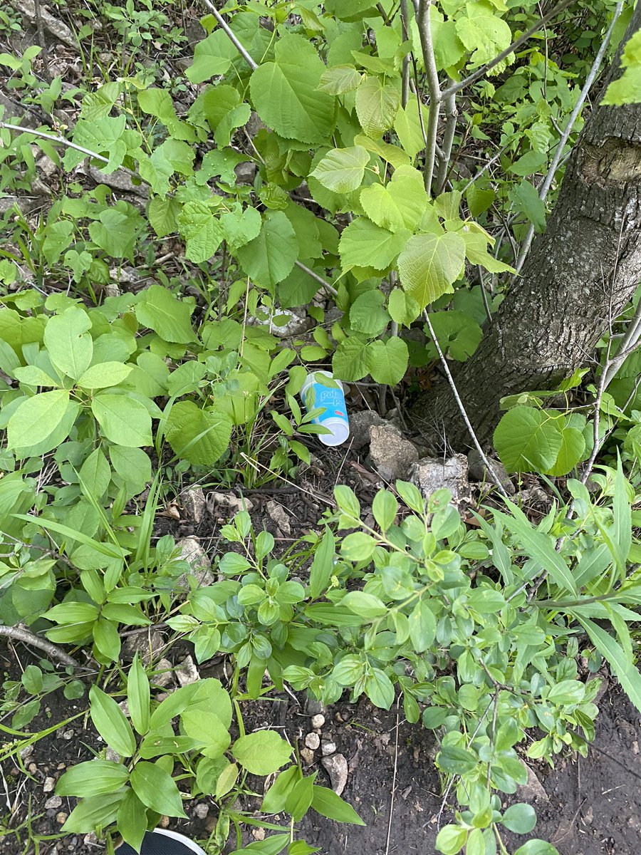 Fuck you if you litter in a beautiful spot like this