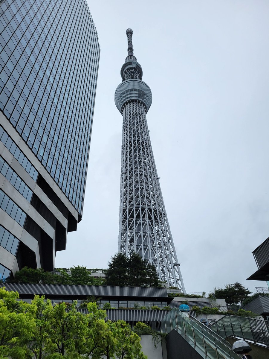 外は雨降ってるからぱぺは中にね

#東京まめストーリー