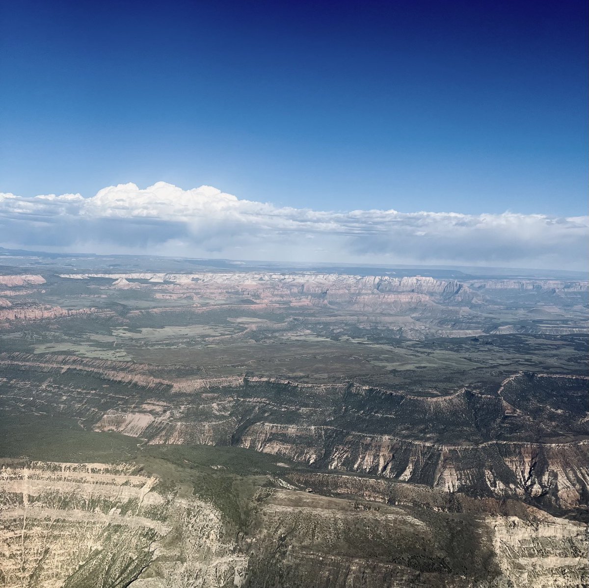 LauraBelnap1's tweet photo. Beautiful Southern Utah from the air. I love Utah! https://t.co/MNOsXxTjhZ
