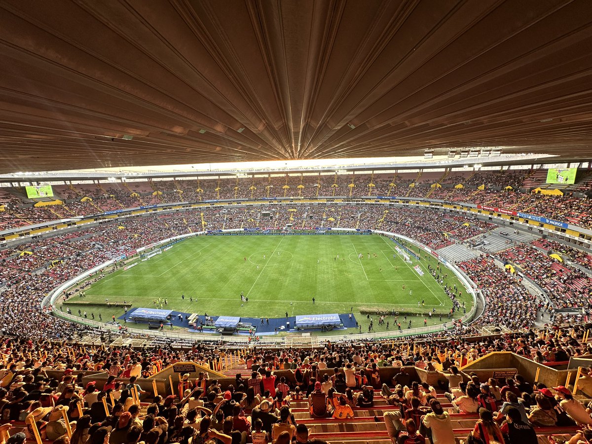 Leones Negros de la UdeG tweet media