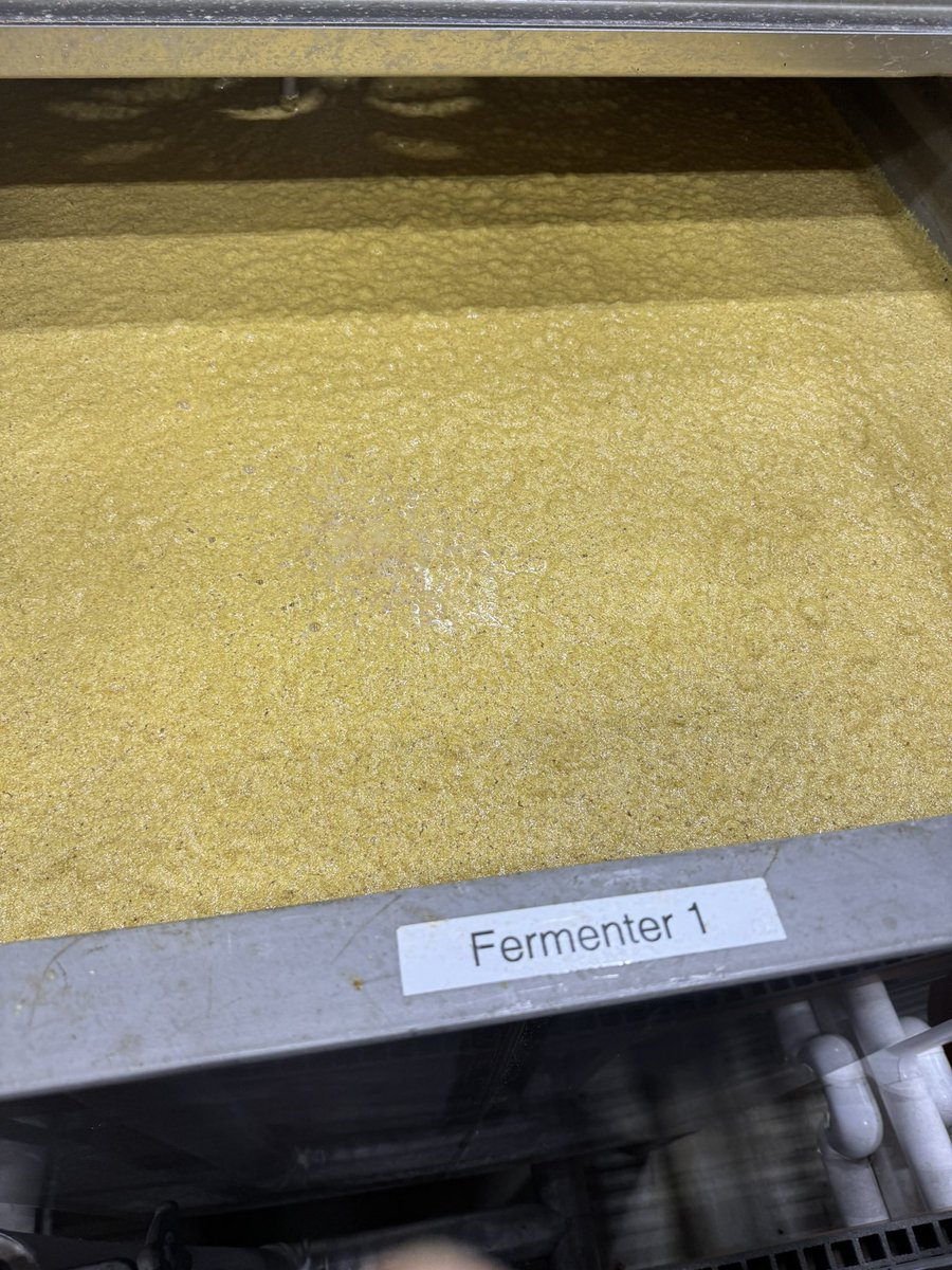 CRYPT⭕️ and B⭕️URB⭕️N tweet media