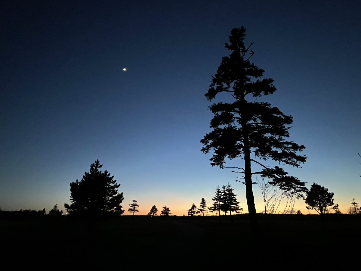 “May every sunrise hold more promise and every sunset hold more peace.”
  — Umair Siddiqui

#HappyMothersDay2024
#ExploreNL #DiscoverNL #AdventureNL #IgniteNL #GetOutside #Trails #HappyHeart