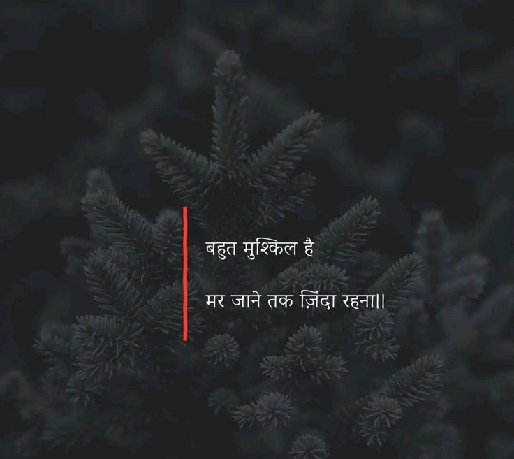 mpanktiya's tweet image. बहुत मुश्किल है
मर जाने तक ज़िंदा रहना।।