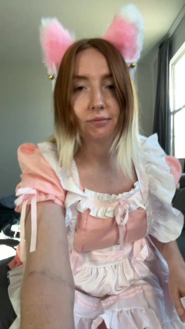 Trans Eevee Bee is live now! https://t.co/Wlg7498yU3 https://t.co/cOtmOHluo0<a href="/tag/newprofilepic"class="tags"><span>#newprofilepic</span></a>