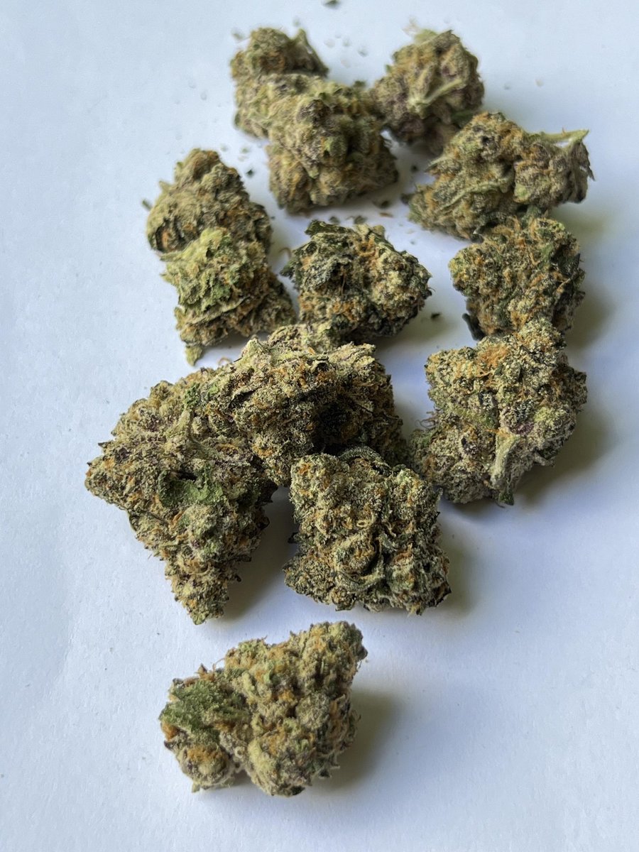 #weed #cannabis #cannabiscommunity #marijuana #weedporn #thc #weedstagram #cbd #cannabisculture #stoner #hightimes #smoke #weedlife #sativa #indica #ganja #kush #maryjane #highlife #smokeweedeveryday #high #life #dabs #hemp #medicalmarijuana #dank #highsociety #bhfyp #daily #bong