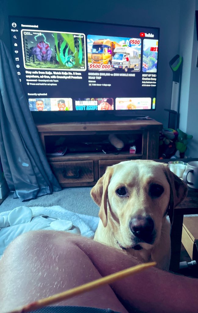 Markdoninger's tweet photo. Iโll never go another year of living without having a #labrador like truly are a manโs best friend look at her man #goldenlab ๐ฅน๐ https://t.co/RO47BEWMtv