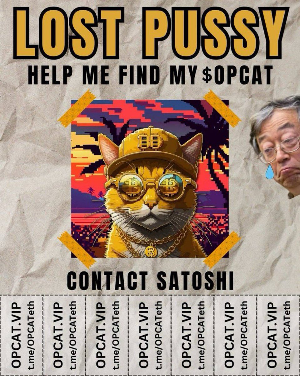 OfficialOpcat's tweet photo. @Pauly0x @Pauly0x pump Satoshi’s Cat - $OPCAT for the fun of it, I know your bored 😉 #ZeBest https://t.co/1HjLG6PVEm