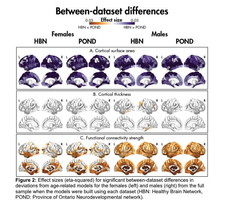 Dataset factors influencing age-related changes in brain structure and function in neurodevelopmental conditions | bioRxiv biorxiv.org/content/10.110…