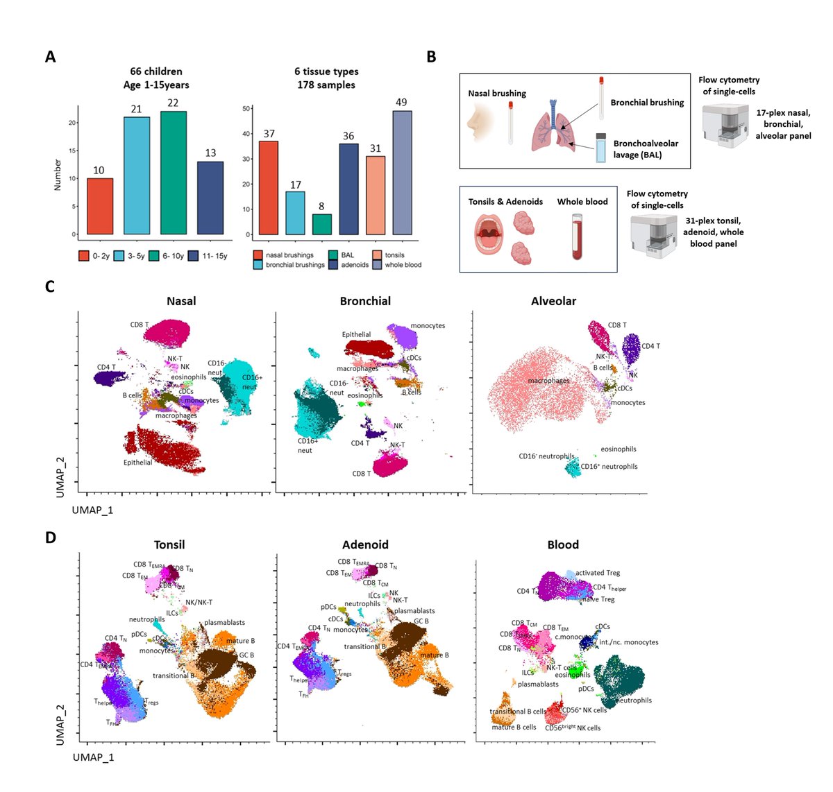 Very excited to share the first preprint from our @cziscience pediatric @humancellatlas cohort #earlyAIR. We provide a clinically relevant #flowcytometry reference of immune cells from five tissues of the pediatric #airway (1/3).

doi.org/10.1101/2024.0…