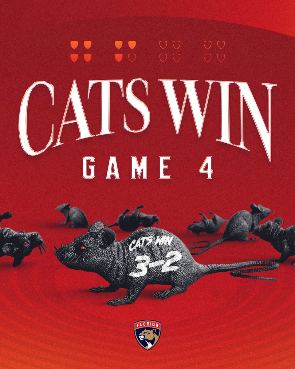 COMEBACK CATS