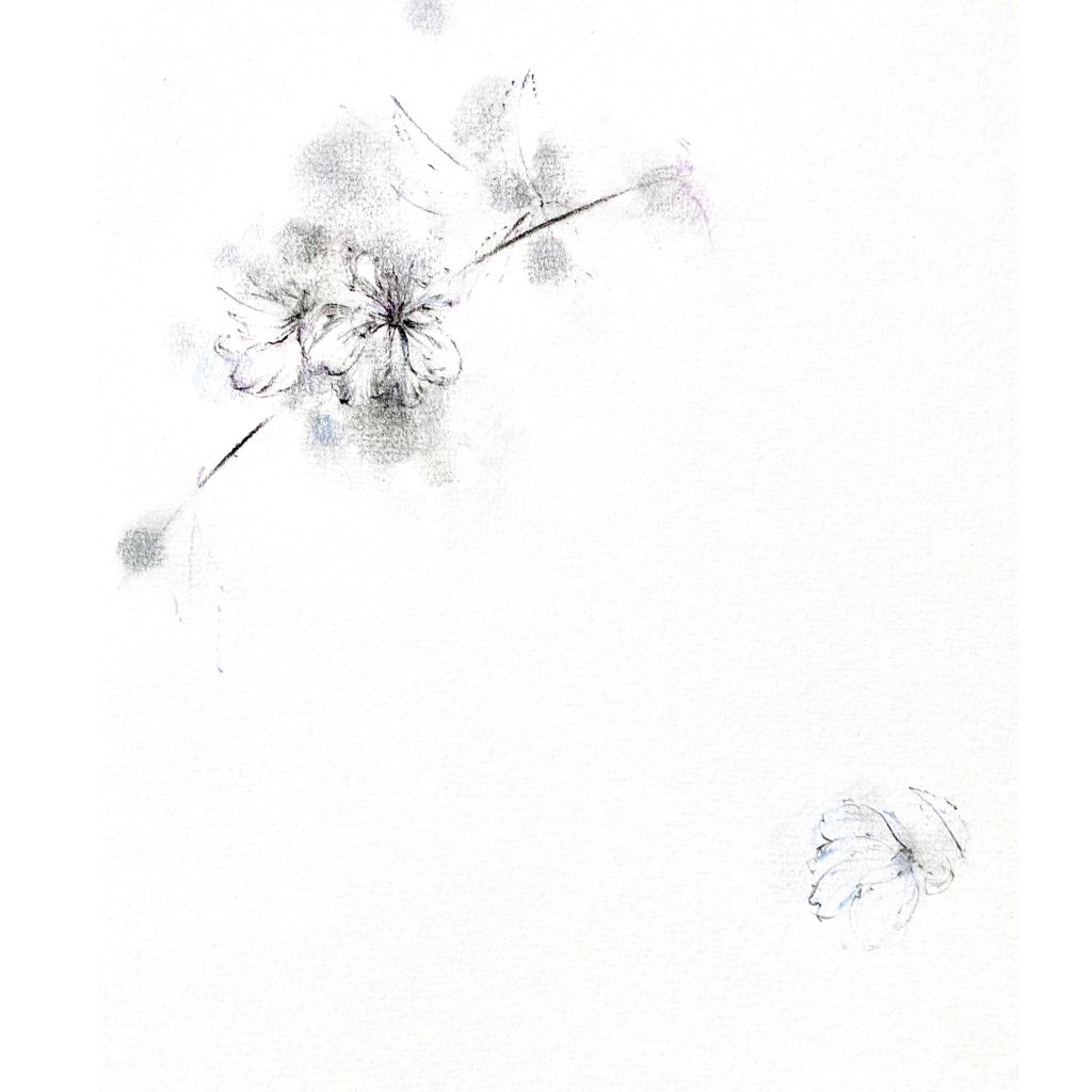 ５月の花で好きな花はなんですかー？
#皐月
#crayon #whiteart #sketch #毎日のこと #草花が好き #草花の絵 #art #アート #artwork #作品 #painting #現代アート #fineart #watercolor #artlife #アートのある暮らし  #noartnolife #japaneseart #日本画 #interiorart #余白 #墨 #木炭 #charcoalart