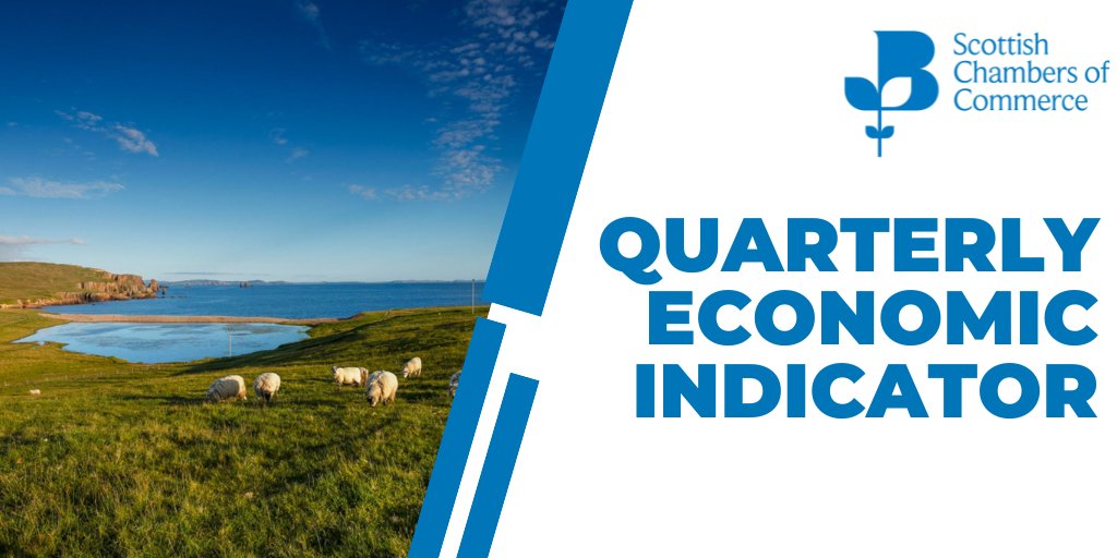 Have the input costs for your business risen over the last quarter? How are these affecting your investment decisions?

For a chance to win a £100 voucher or donation to a charity of your choice:

bit.ly/SCCQEIQ22024