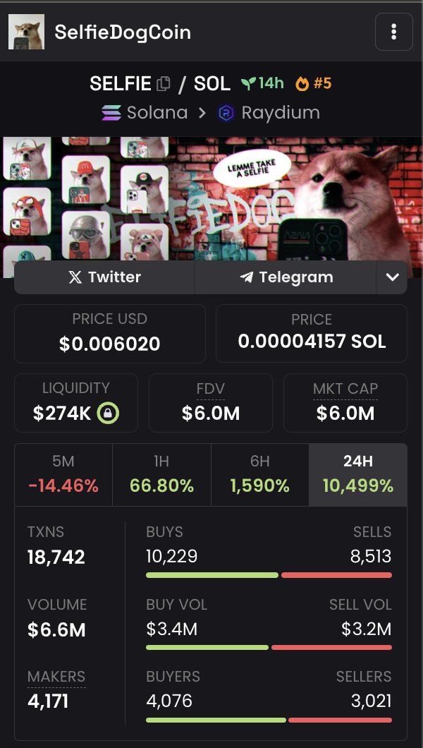 wait.

selfie dog is 14 hours old.

selfie cat is 18 hours old. 

we know that's gonna cook if mfs put in the work.

1 per animal. send it.

dexscreener.com/solana/8honkbR…