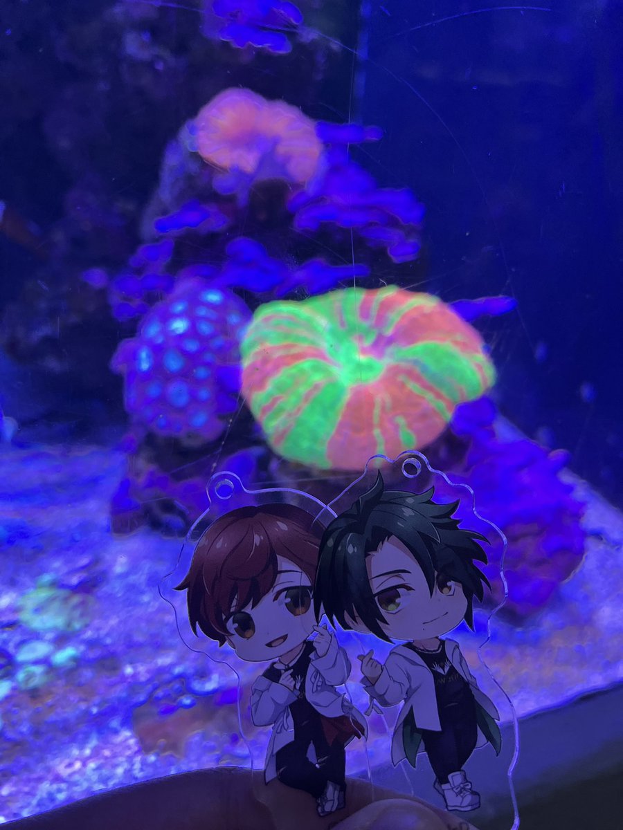 They went to the aquarium today!! 🐰💪
#AnthosFandom