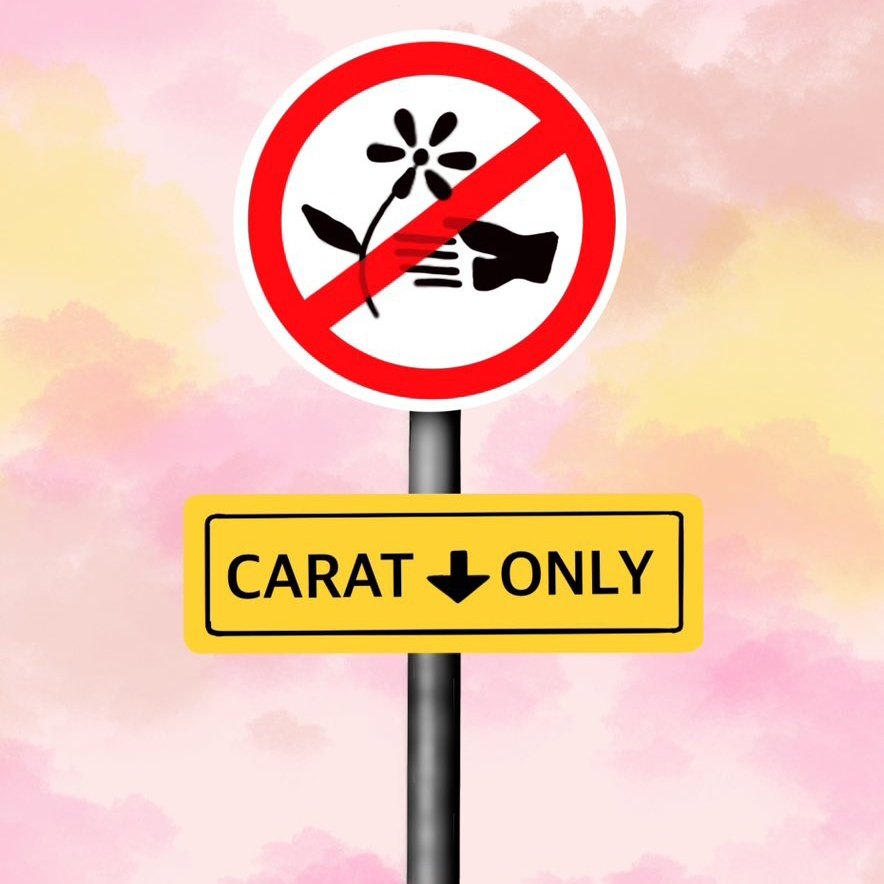 kalila ✿ tweet media