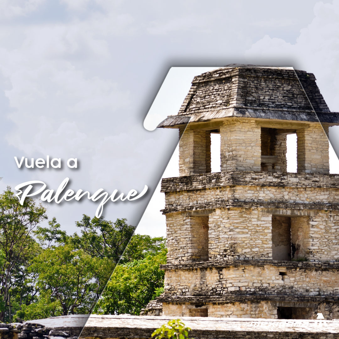¿Listos para descubrir Palenque? En cada vuelo, una aventura.  🛫✨🔎

#DestinosEspeciales #VuelaConMamáEnMexicana