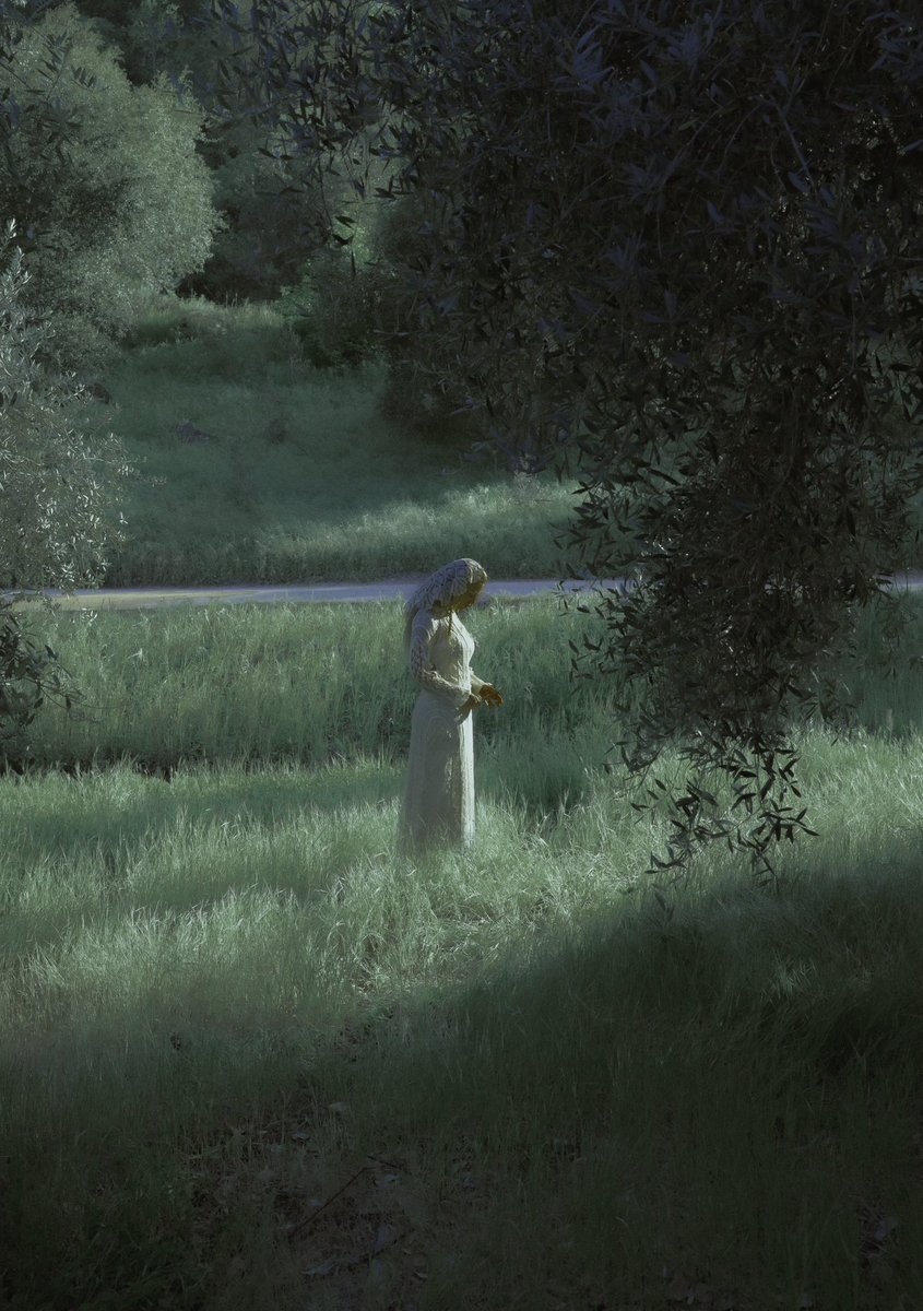summergwagner's tweet photo. among the olive trees https://t.co/74uanlXjwD